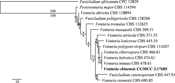 Fig. 4