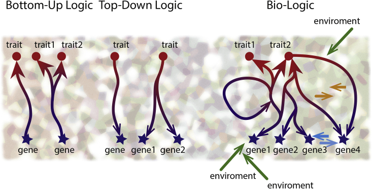 Fig. 1