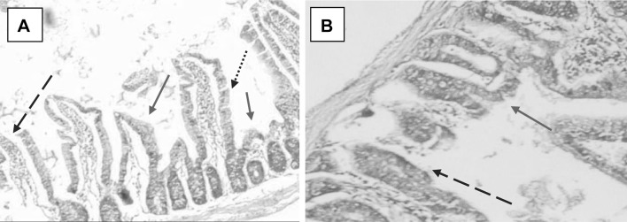 Fig. 5