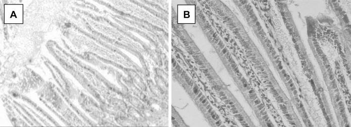 Fig. 7