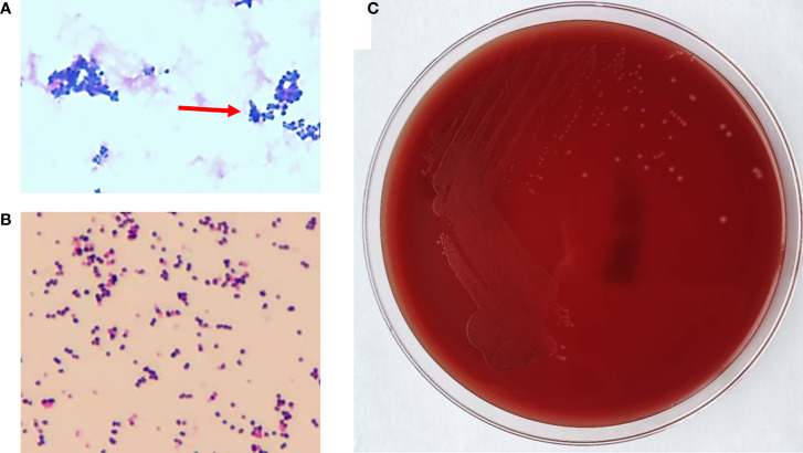 Figure 2