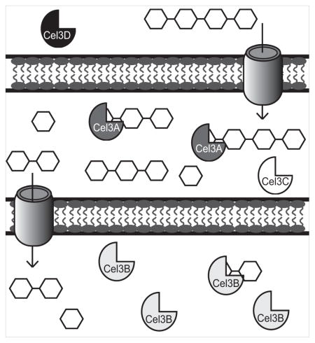 graphic file with name nihms858725u1.jpg