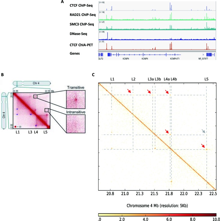 Figure 6.