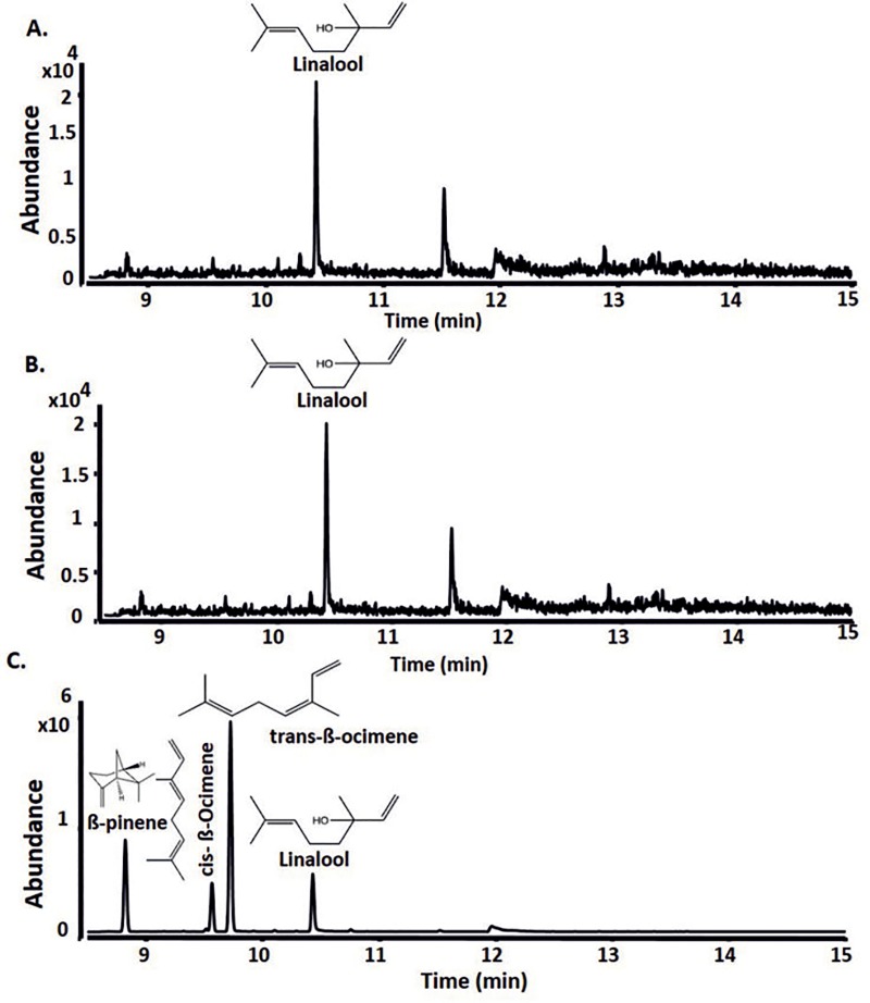 Fig 3