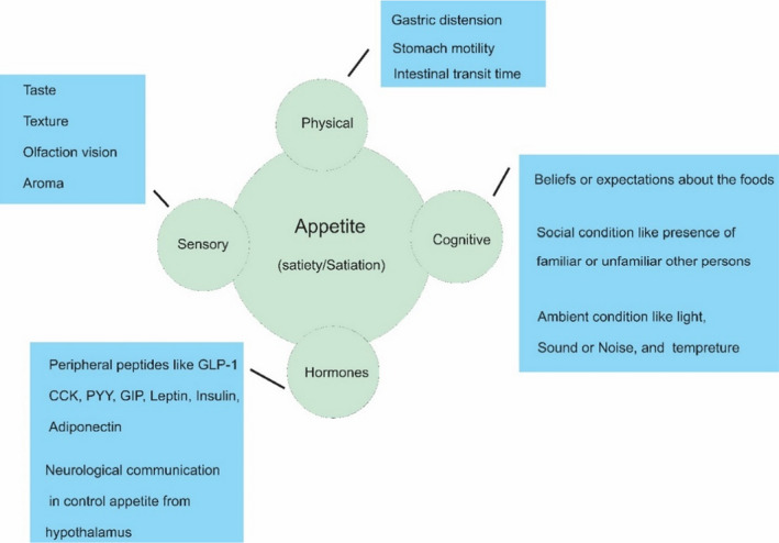 FIGURE 2