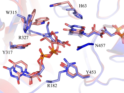 FIGURE 4.