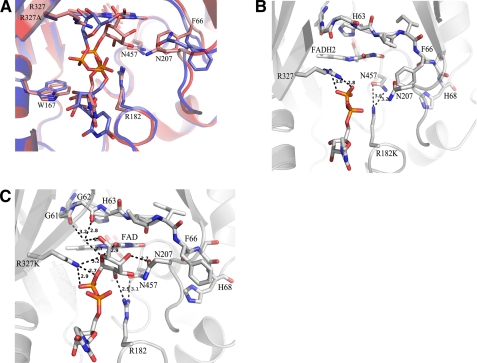 FIGURE 3.