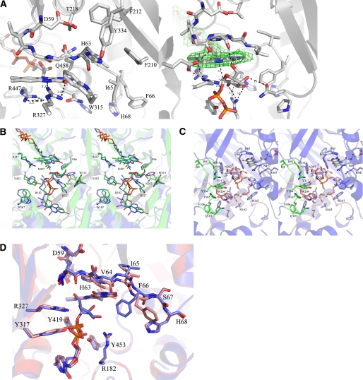 FIGURE 2.