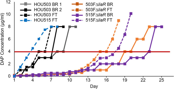 FIG 1