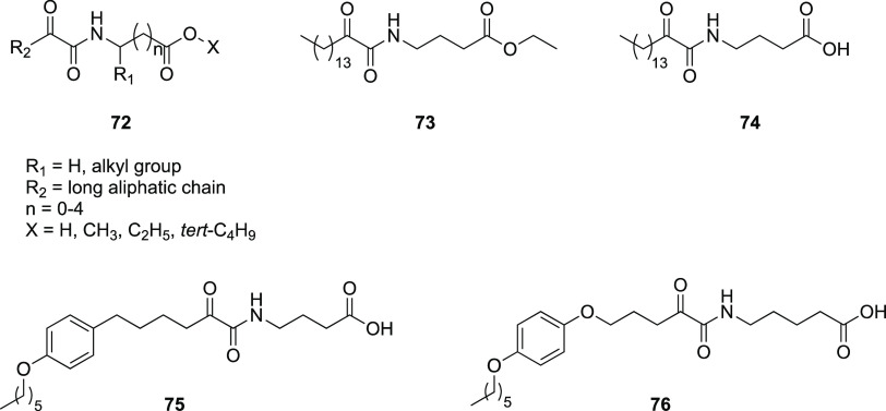 Figure 24
