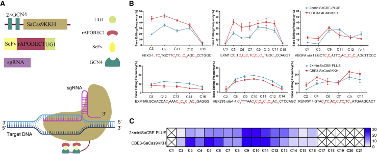 Figure 2