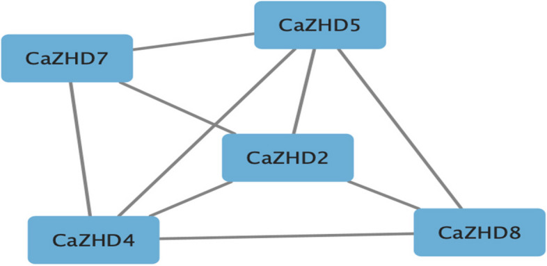 Fig. 10