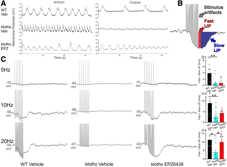 Figure 5