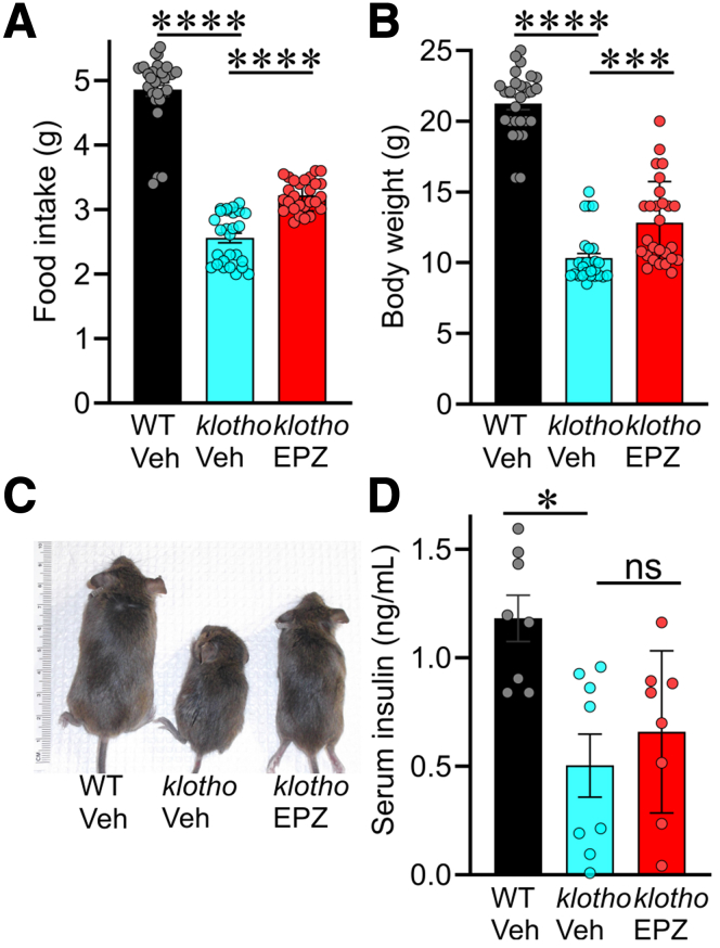 Figure 6