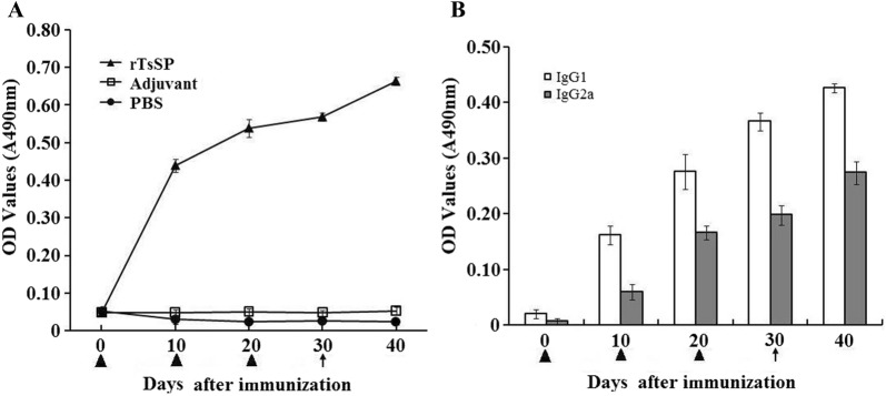 Figure 14