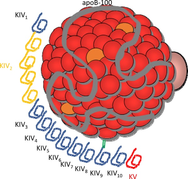 Fig. 1.