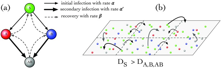 FIG. 1.