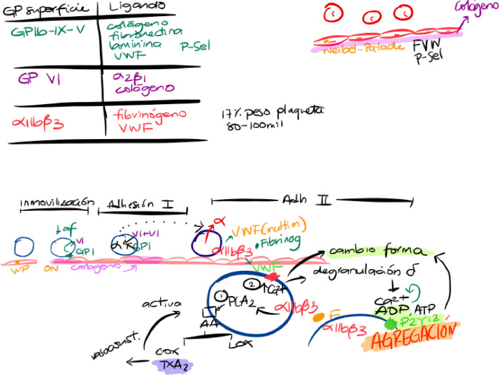 Fig. 1: