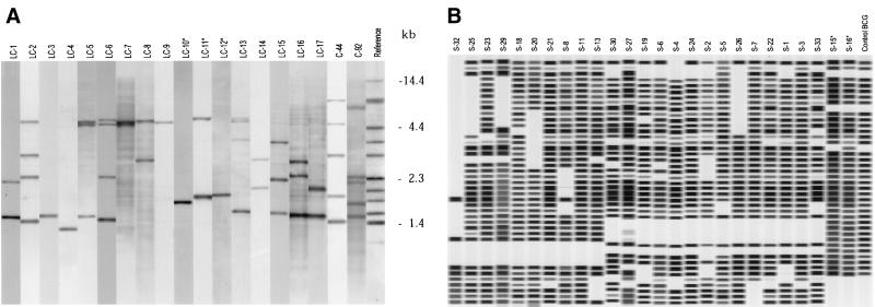 FIG. 1