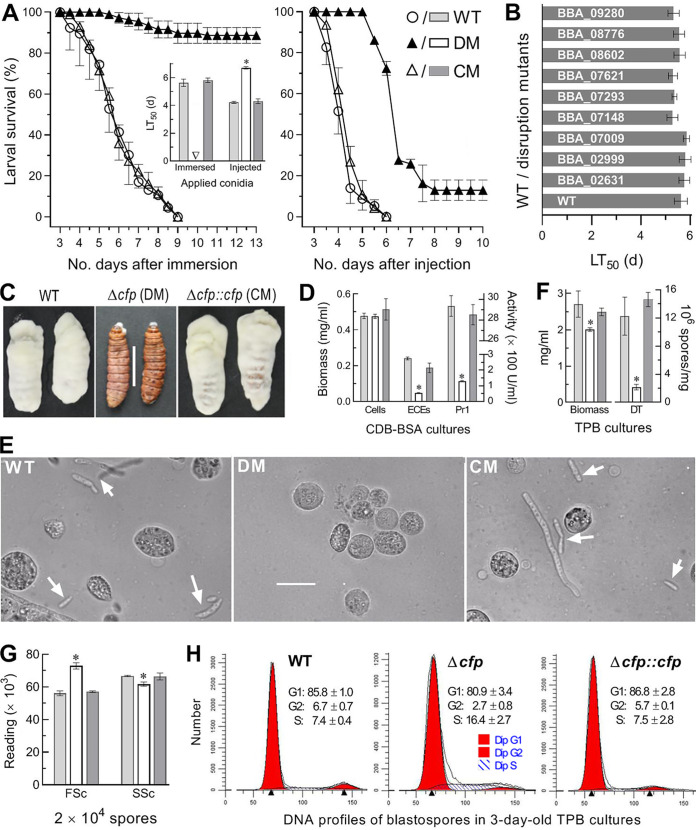 FIG 2