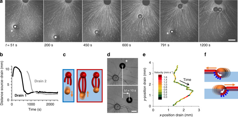 Fig. 3