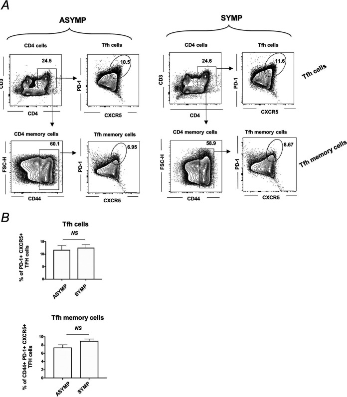 FIG 6