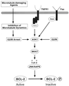 FIG. 7