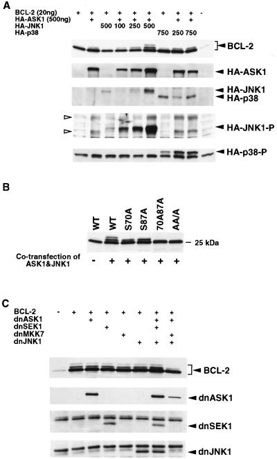 FIG. 6