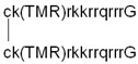 graphic file with name pharmaceutics-14-00907-i002.jpg