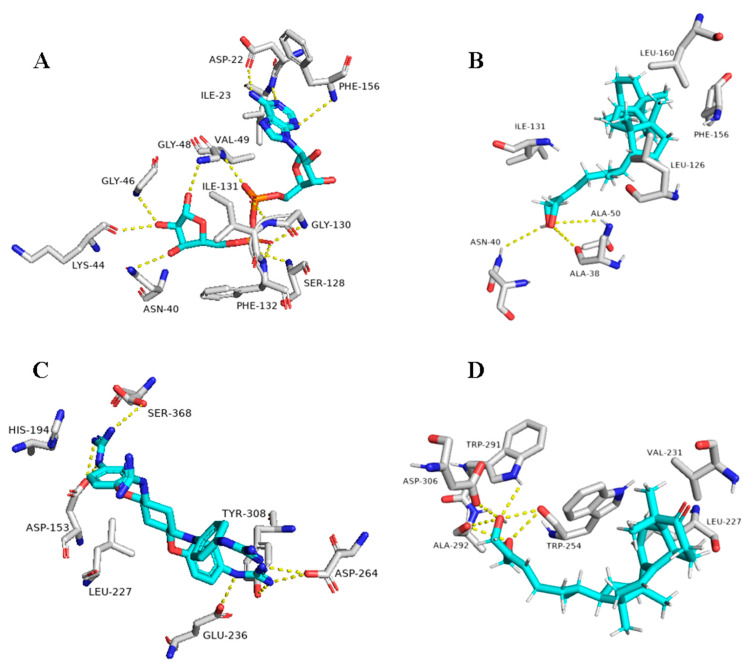 Figure 10