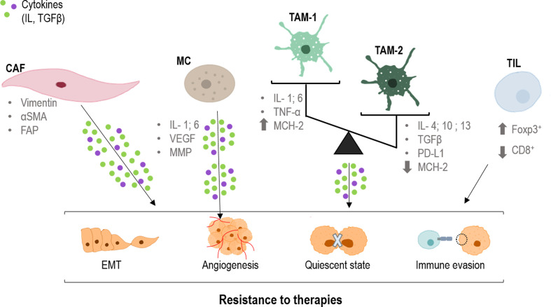 Figure 2