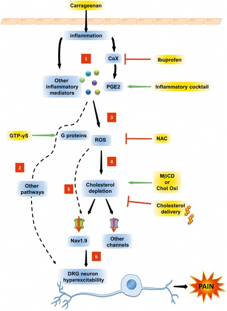 Figure 9