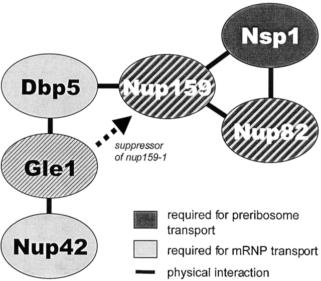 Figure 9.