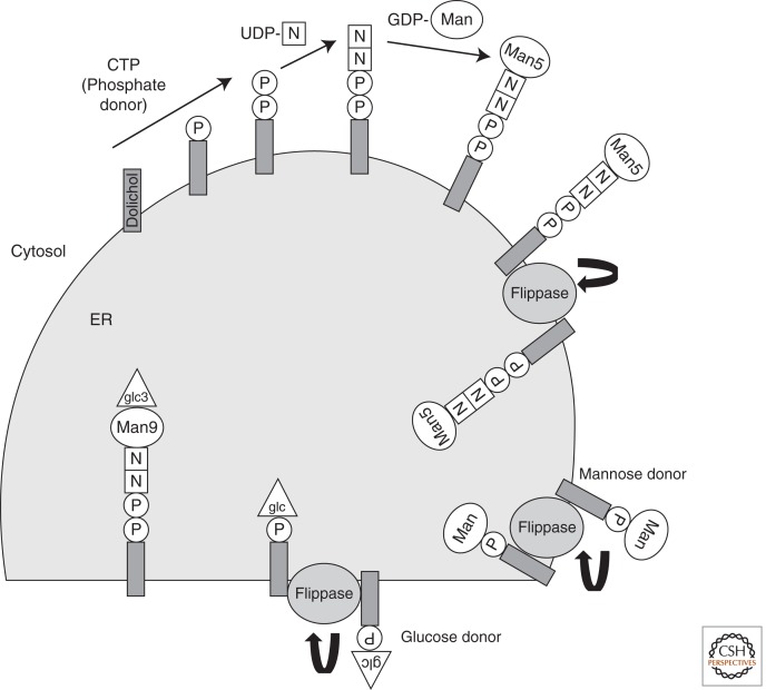 Figure 2.