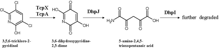 Fig 5