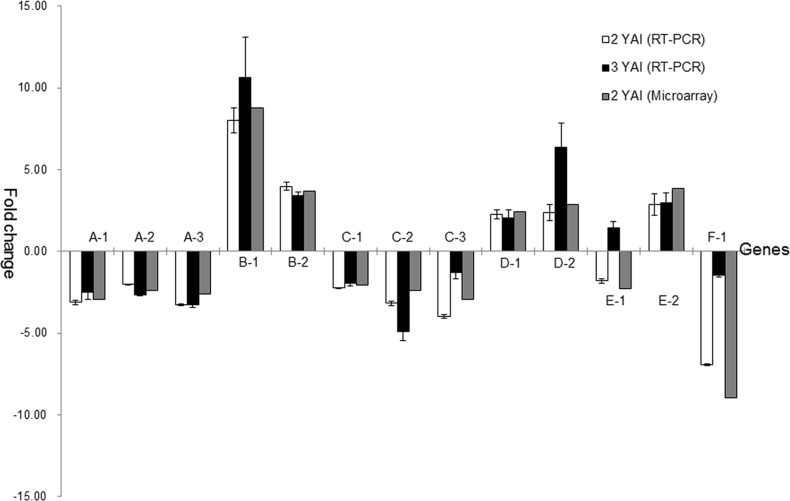 Fig 5