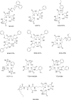 Figure 11