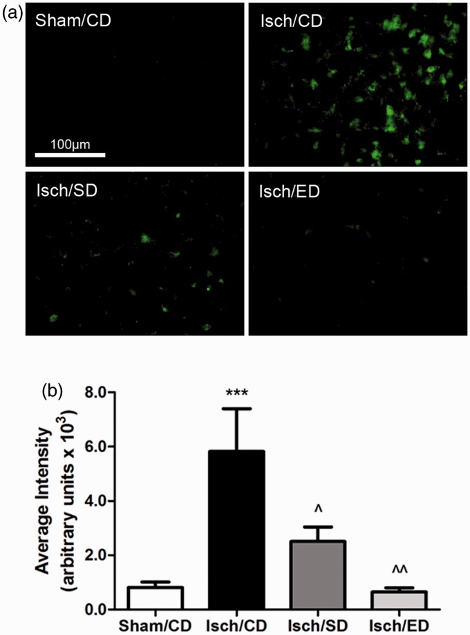 Figure 6.