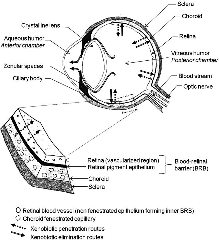 Fig. 1