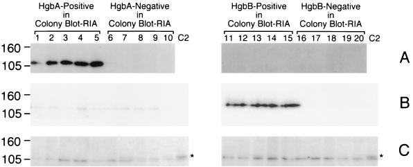 FIG. 7