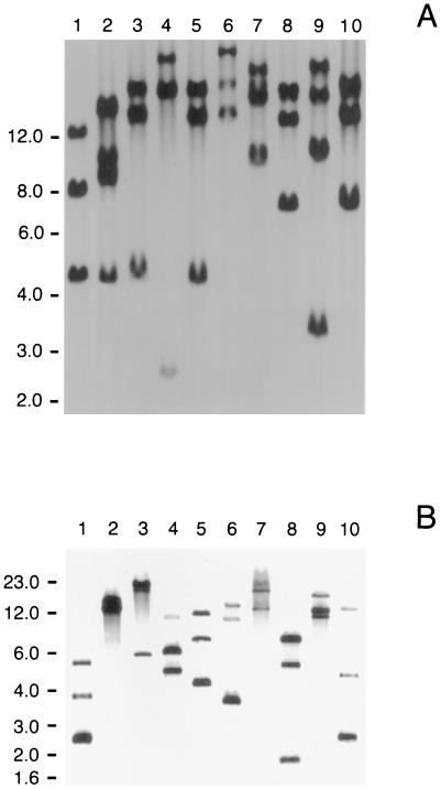 FIG. 1