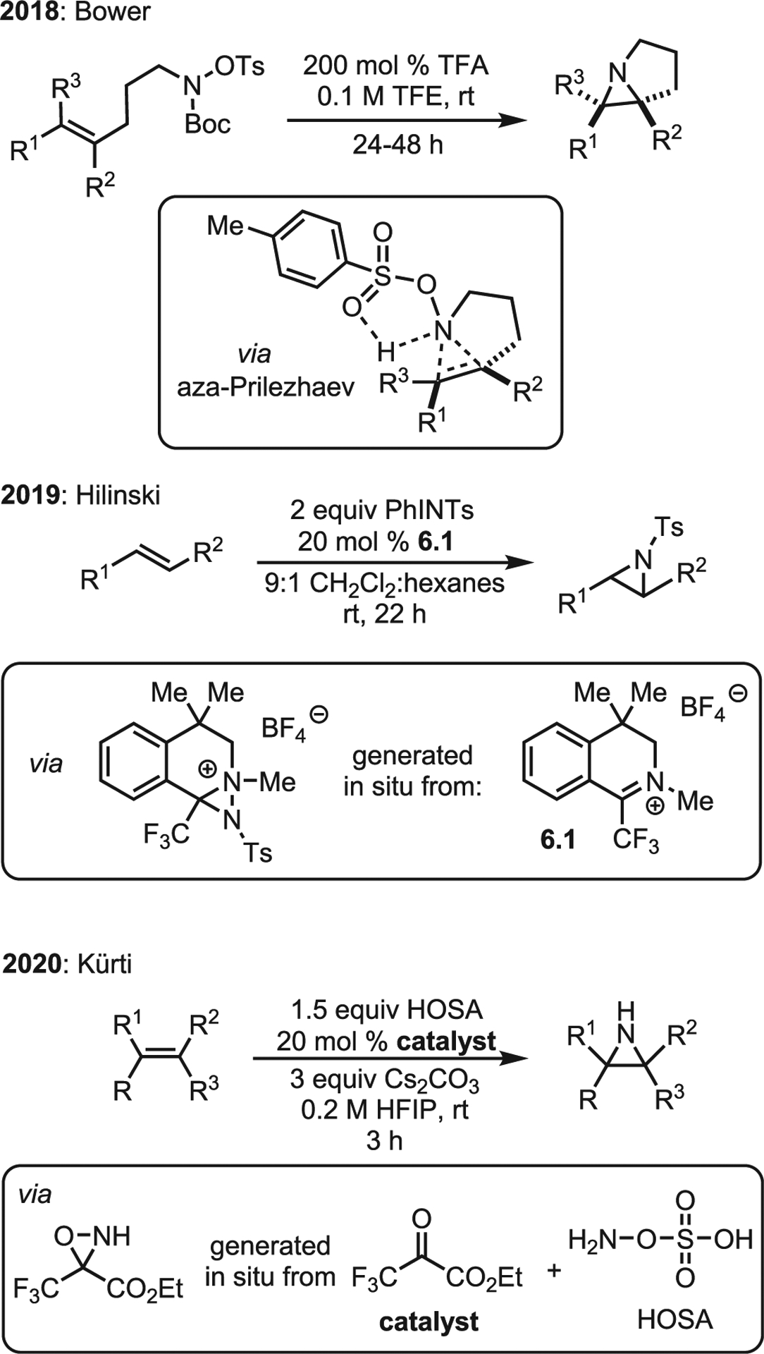 Scheme 6.