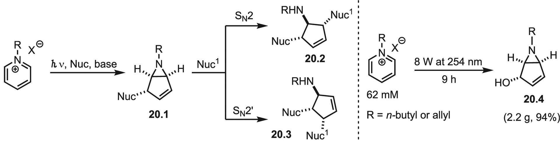 Scheme 20.