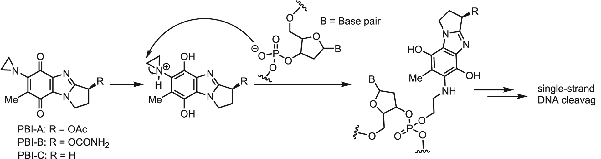 Scheme 30.