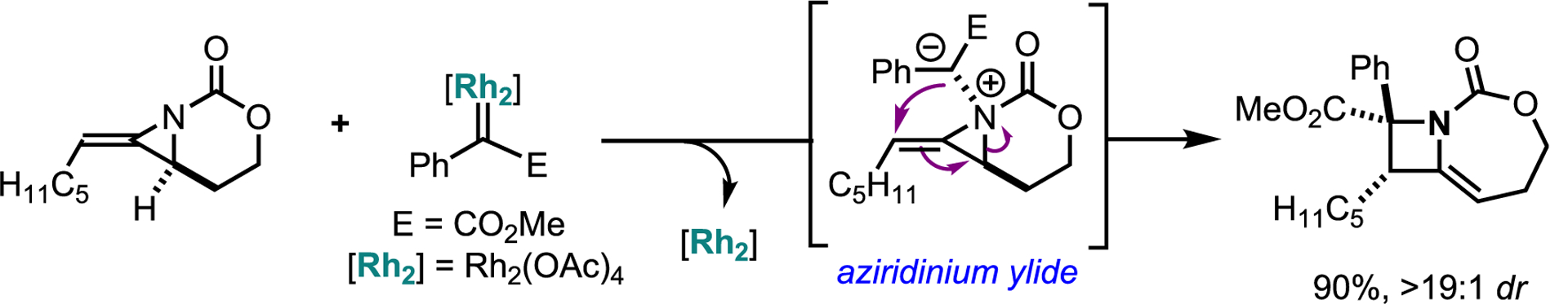 Scheme 28.