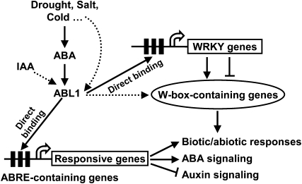 Figure 6.