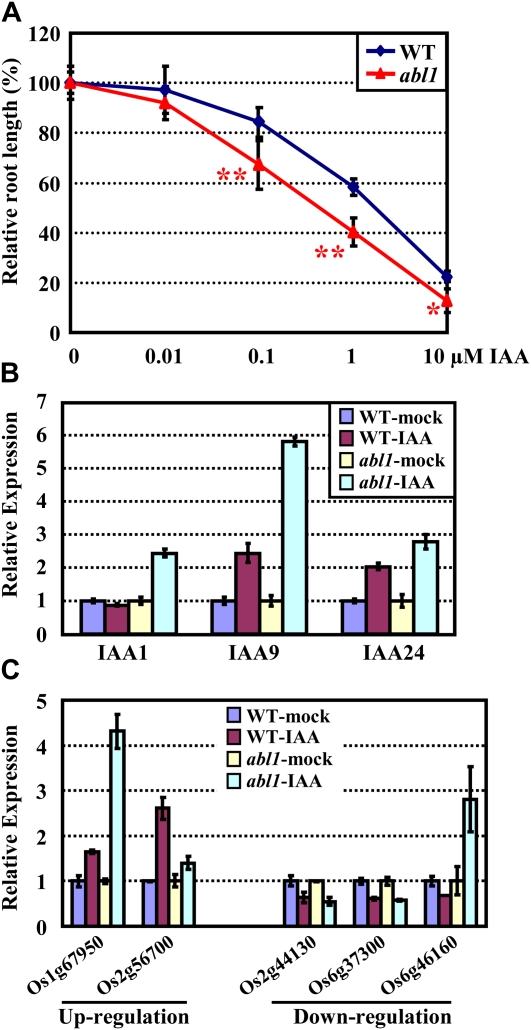 Figure 5.