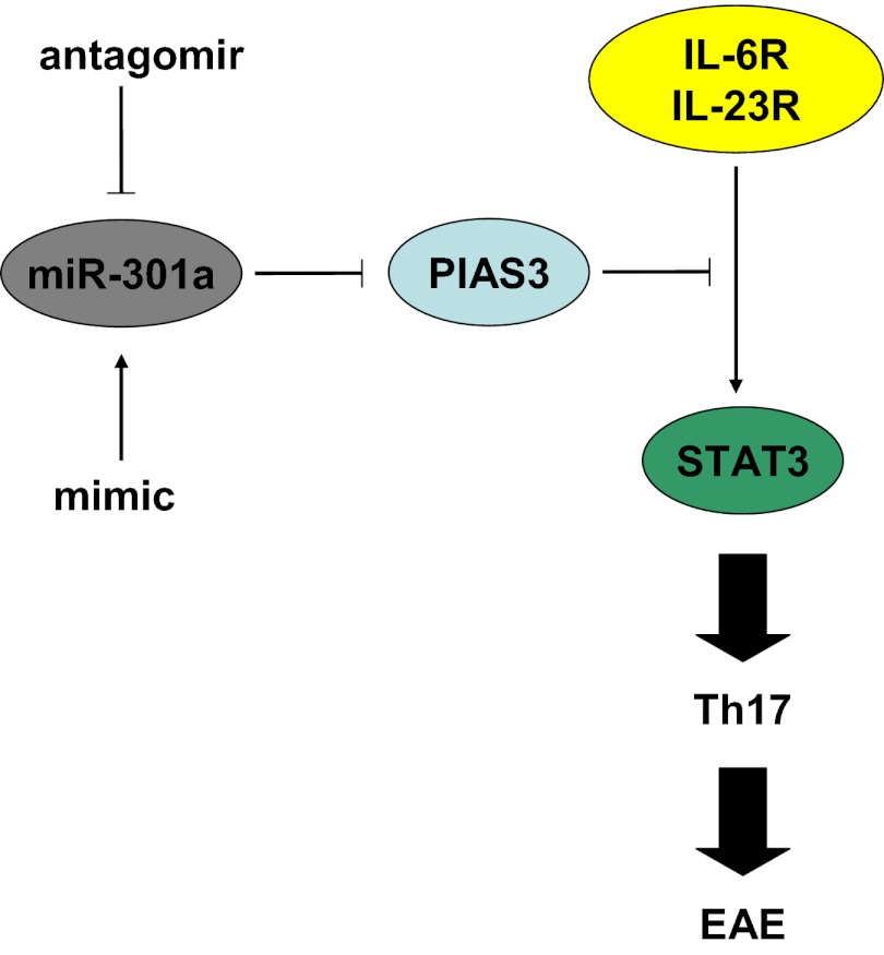 Fig. P1.