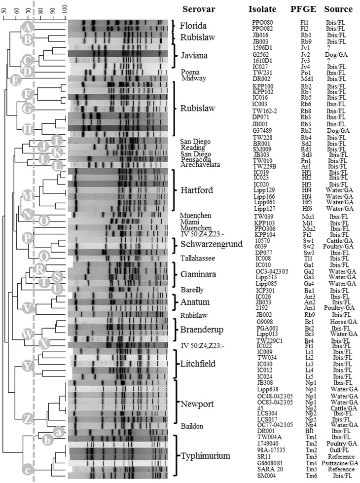 Fig 3