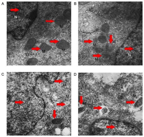 Figure 10.